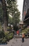 paris-street-scene-1