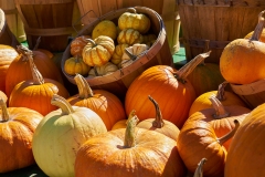 10.12.2015_16 web