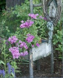 floralthrone