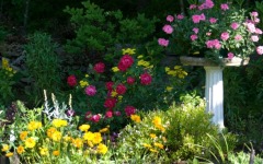 gardensecret.barbbowman