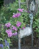 floralthrone