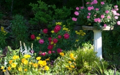 gardensecret.barbbowman