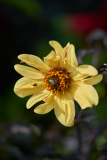 images_19-web