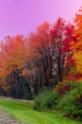 autumn2