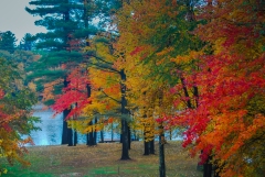 autumn5