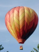 bright-balloon-2011.2.sm.barbbowman