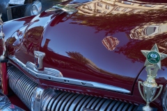 cruising-web_4