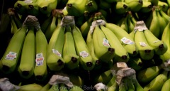 fruitandveg4