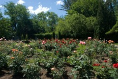 fullergarden2.barbbowman