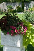 fullergarden6