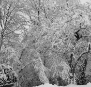 heavyweatherweb