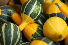 images_7-web