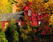 redleaves.barbbowman