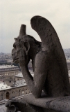 gargoyles-2