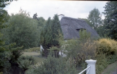 thatched